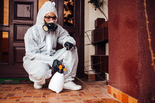 Reliable Cockroach Control contractor in Joshua Tree, CA by Nex Pest Control